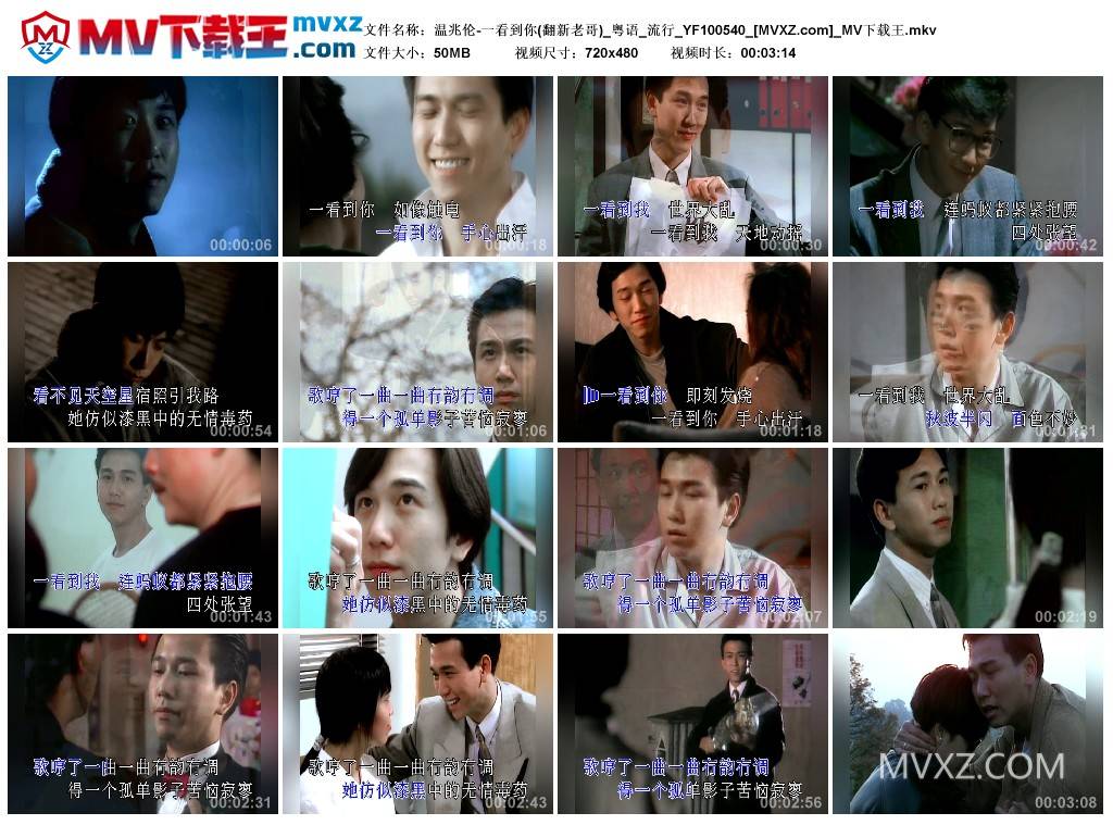 温兆伦-一看到你(翻新老哥)_粤语_流行_YF100540